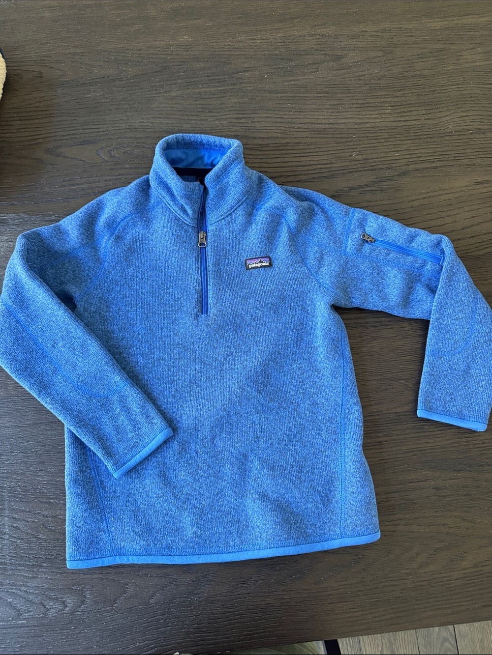Patagonia Kids Blue Half-Zip Fleece Pullover Jacket